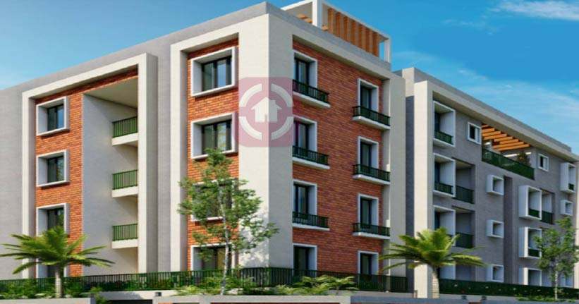 Sristi Arunachala Cover Image